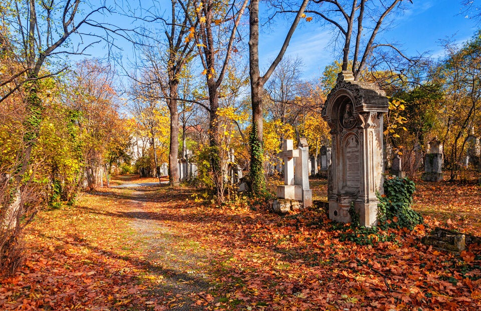 Friedhof Wien