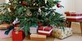 Die besten Tipps: So verhindern Sie, dass der Christbaum nadelt