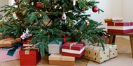 Die besten Tipps: So verhindern Sie, dass der Christbaum nadelt