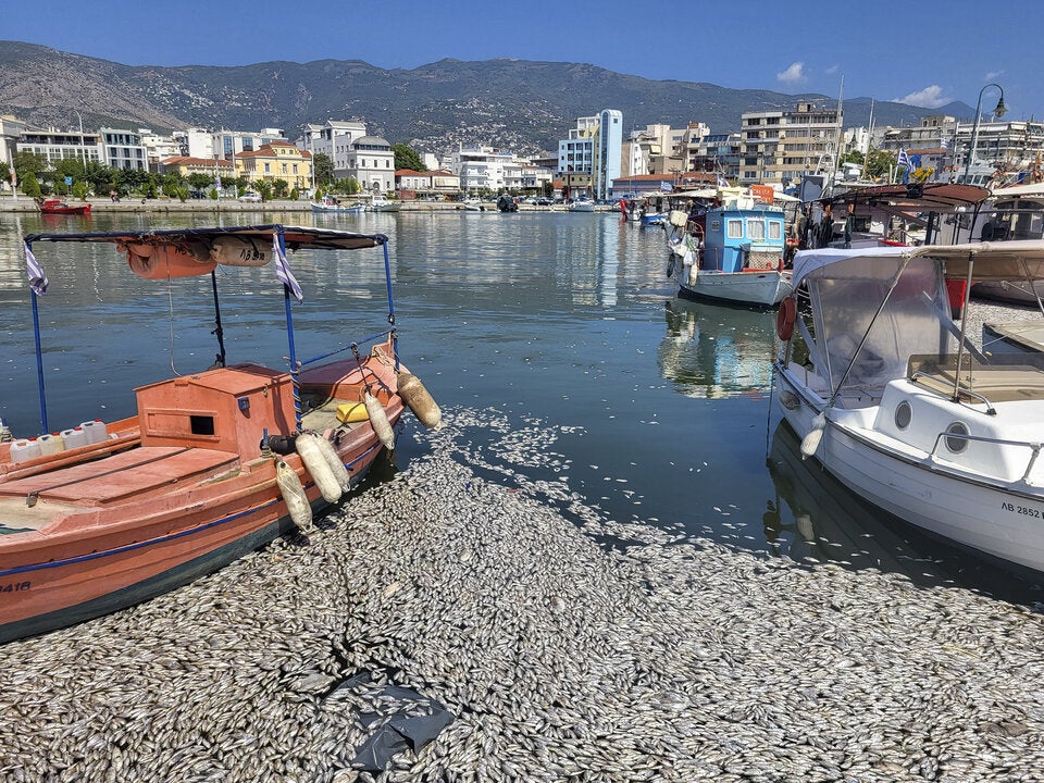Volos