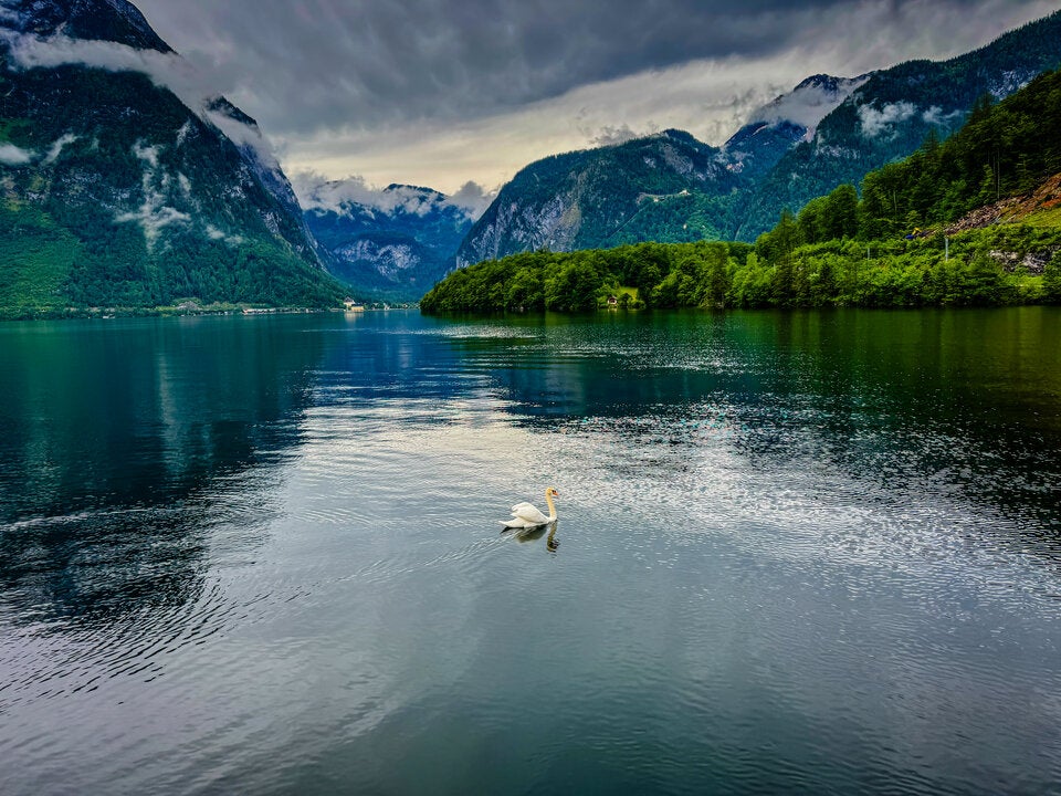 Statt Attersee: Diese Badeseen in Oberösterreich sind noch nicht so überlaufen