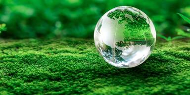 Landwirtschaft: So sollen Mercosur-Folgen verhindert werden