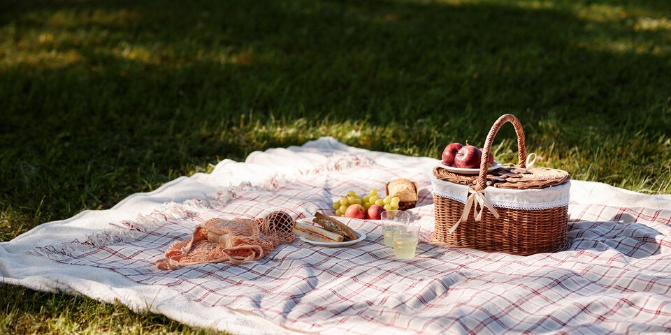 Geheimtipps: Die schönsten Picknickplätze in Wien