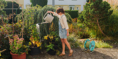 Hitzeschock: So überstehen Ihre Pflanzen die extreme Sommerhitze