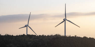 "Blanker Irrsinn": Riesen-Wirbel um geplante Windr&auml;der beim Bisamberg