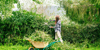 Rasen, Hecke, Terrasse: Mit diesen 3 Ger&auml;ten holen Sie das Maximum aus Ihrem Garten heraus