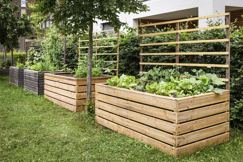 Ihr Hochbeet wächst nicht oder nur sehr langsam? Dieser Fehler steckt dahinter