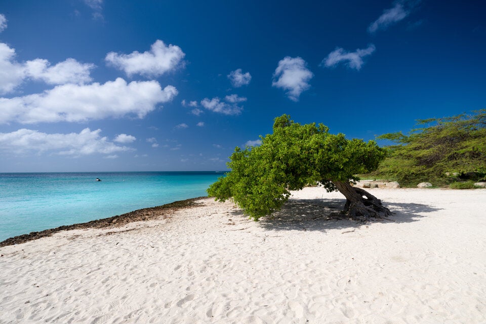 Näher als Sie denken: Tripadvisor kürt die schönsten Strände 2026