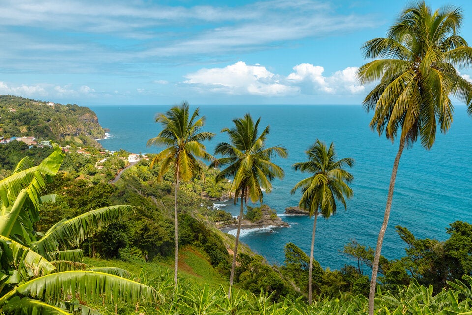 Japan, Karibik, Ostsee: Das sind jetzt die besten Deals für Urlaub!