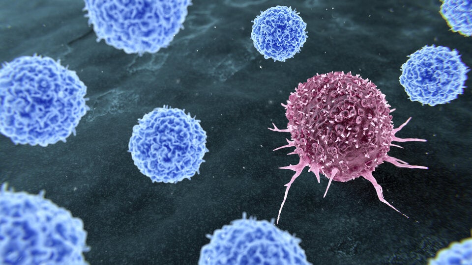 Revolution: Neue Therapie lässt Krebs verschwinden