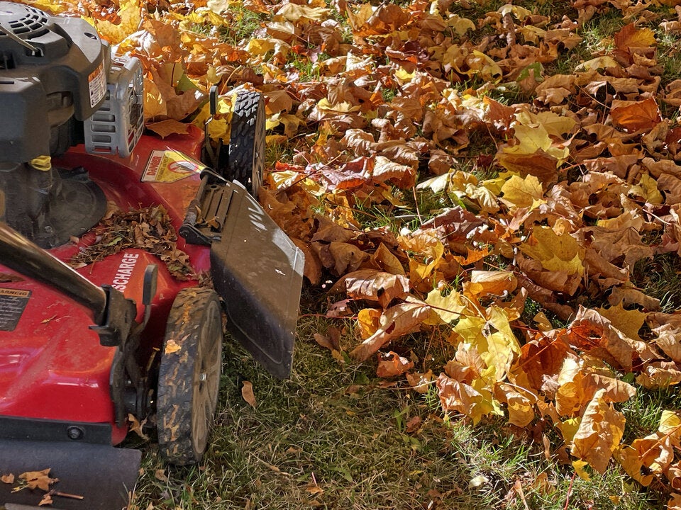 Rasenpflege im Herbst: Dann sollten Sie den Rasen zum letzten Mal mähen