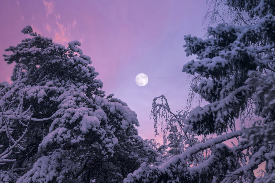 Laut Bauernregel: Das bedeutet ein kalter Februar für den März
