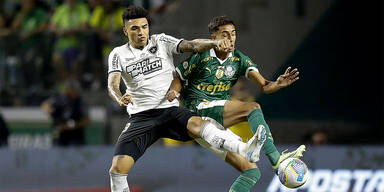 Palmeiras und Botafogo