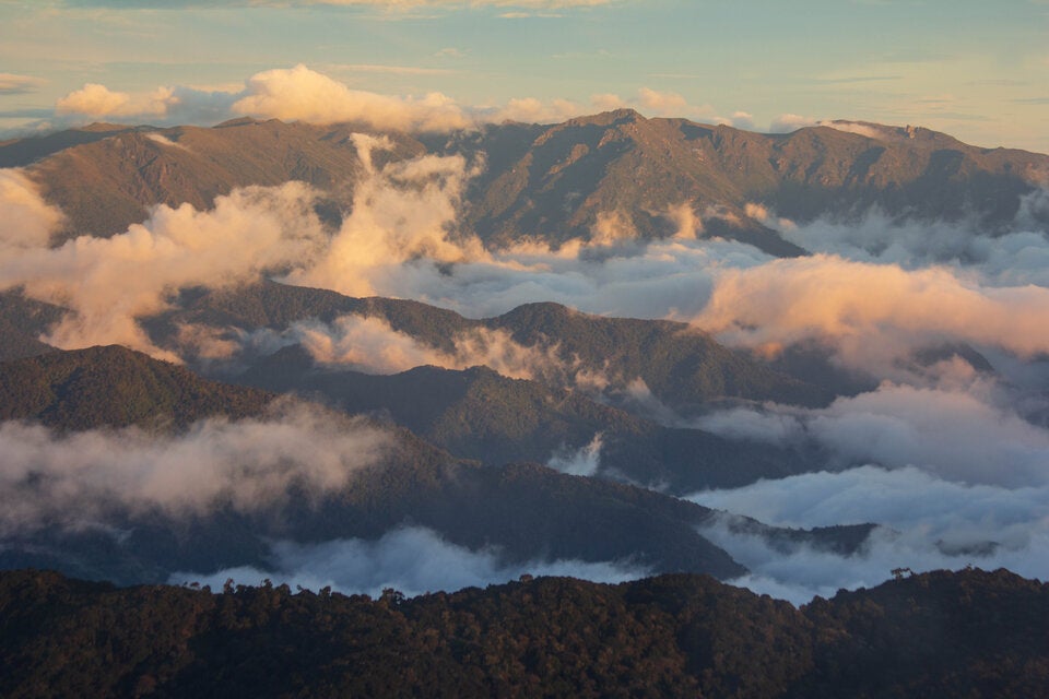 Costa Rica: Geheimtipps im Land der Naturwunder