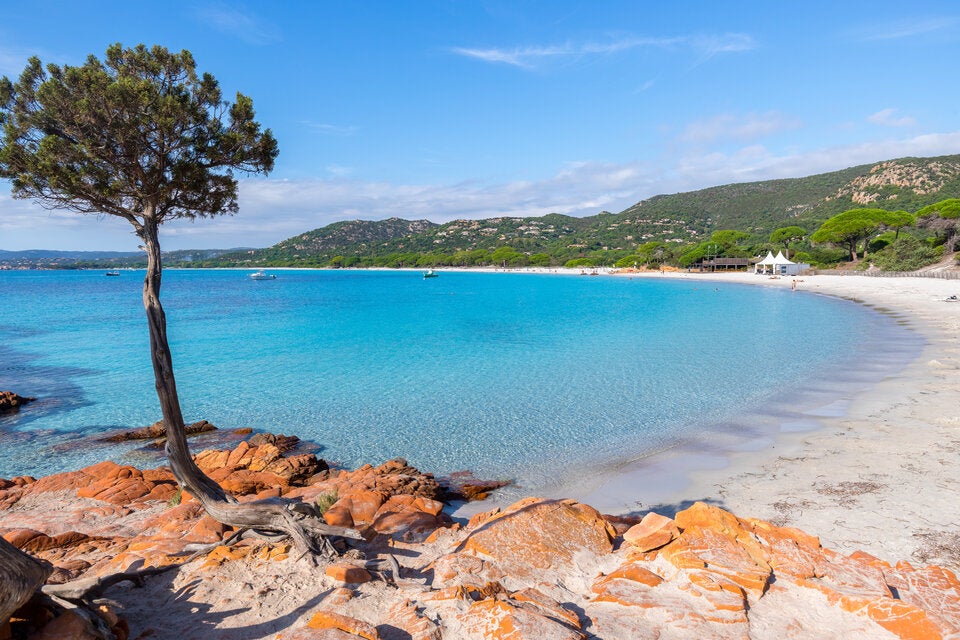 Korsika will mehr Urlauber & kauft einfach selbst die Flugtickets