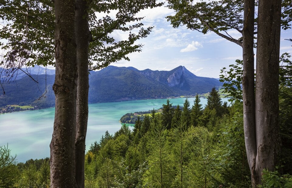 Ultimativer Urlaubstipp: Sommerglück am Mondsee