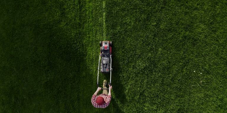 Warnsignal aus dem Garten: Das bedeutet der Duft von frisch gemähtem Rasen