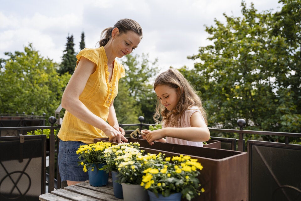Vorsicht, nicht schon jetzt! Wann Sie Ihre Balkonblumen pflanzen sollten
