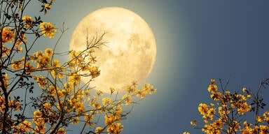 Vollmond am 12.5.25: Diese Auswirkungen hat er auf Ihr Sternzeichen!