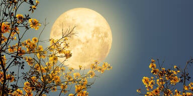 Wie der Vollmond am 1. Mai 2026 IHR Sternzeichen f&uuml;r immer ver&auml;ndert