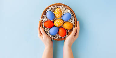 Cholesterin-Schreck oder Gehirn-Booster? So gesund sind Eier wirklich