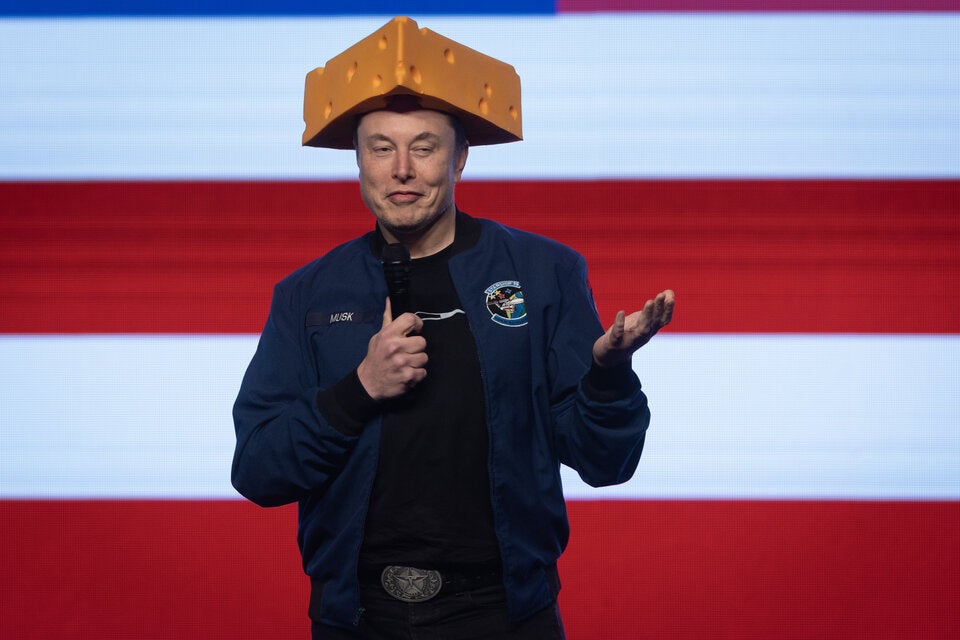 Musk Wisconsin