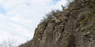Eine schroffe Basaltklippe erhebt sich an den Hängen des Somló-Hügels. Verwitterte Gesteinsschichten zeichnen die steile Wand, während spärliche Frühjahrsvegetation den kargen Boden bedeckt. Am Rand klammern sich kahle Bäume fest – ihr knorriges Geäst betont die dramatische Landschaft vulkanischen Ursprungs unter einem wolkenverhangenen Himmel.&nbsp;