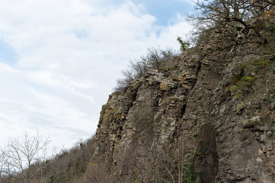 Eine schroffe Basaltklippe erhebt sich an den Hängen des Somló-Hügels. Verwitterte Gesteinsschichten zeichnen die steile Wand, während spärliche Frühjahrsvegetation den kargen Boden bedeckt. Am Rand klammern sich kahle Bäume fest – ihr knorriges Geäst betont die dramatische Landschaft vulkanischen Ursprungs unter einem wolkenverhangenen Himmel. 