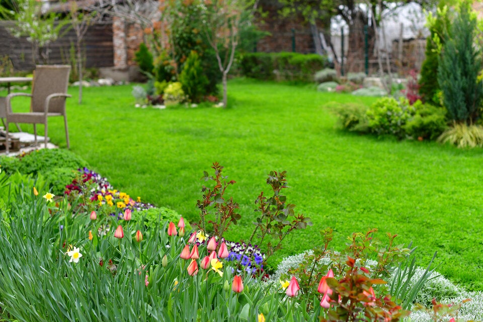 Wetter-Chaos: So überleben Ihre Pflanzen den launischen April