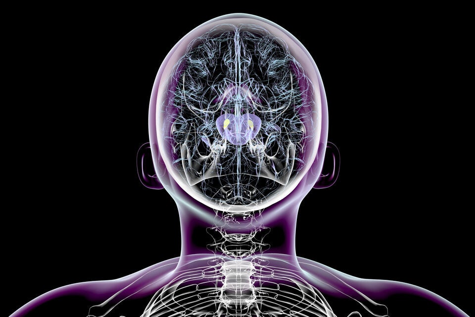 Kurios! Wer HIER wohnt, hat ein höheres Parkinson-Risiko