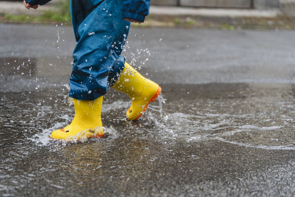 Bauernregel zum Monatsstart: DAS bedeutet Regen im August