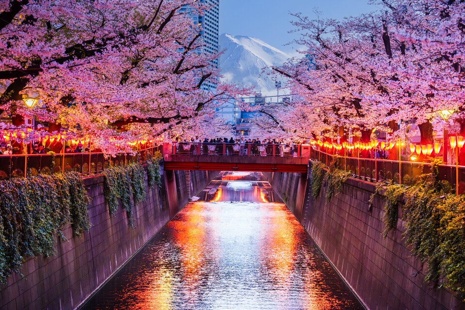 Laut Auswertung: Diese Reiseziele boomen gerade am meisten