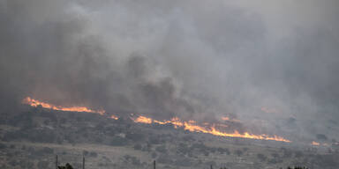 Waldbr&auml;nde in Jerusalem unter Kontrolle gebracht