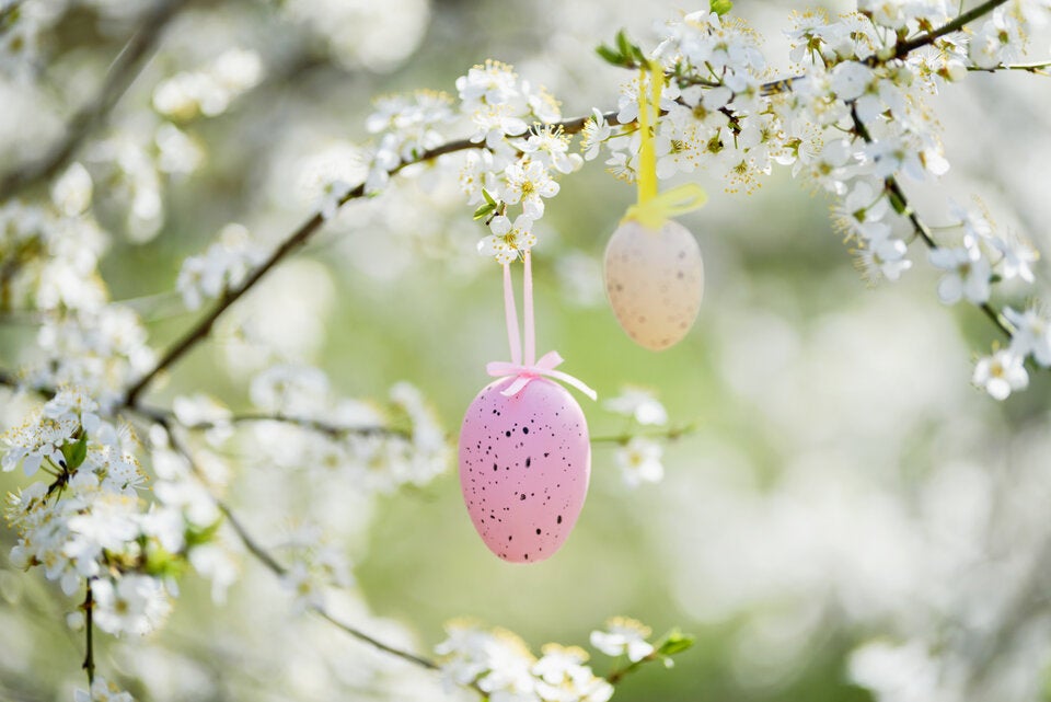 Ostern in Blüte: Dekoration aus Blüten und Zweigen