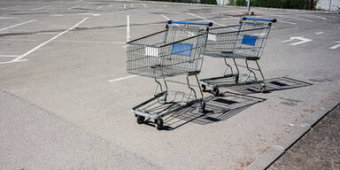 Immer mehr Einkaufswagerl werden in Wien "gefladert"