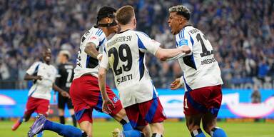 Leidenszeit vorbei: HSV ist zur&uuml;ck in der Bundesliga