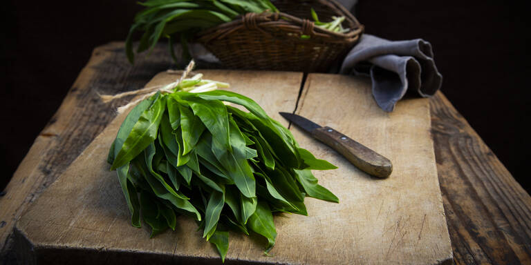 Bärlauch das ganze Jahr genießen: So bleibt er länger frisch