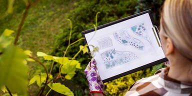 Mit der richtigen Gartenplanung zum Traumgarten: Das m&uuml;ssen Sie jetzt tun