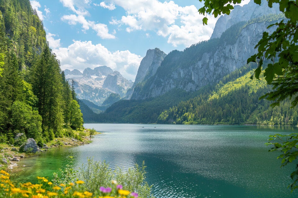 Raus in die Natur! 7 atemberaubende Frühlings-Ausflugsziele in Österreich