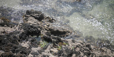 Gelber Schleim: Beliebter Urlaubsstrand pl&ouml;tzlich gesperrt