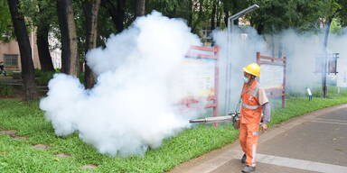 Große Sorge: China bekommt neues Virus nicht in den Griff