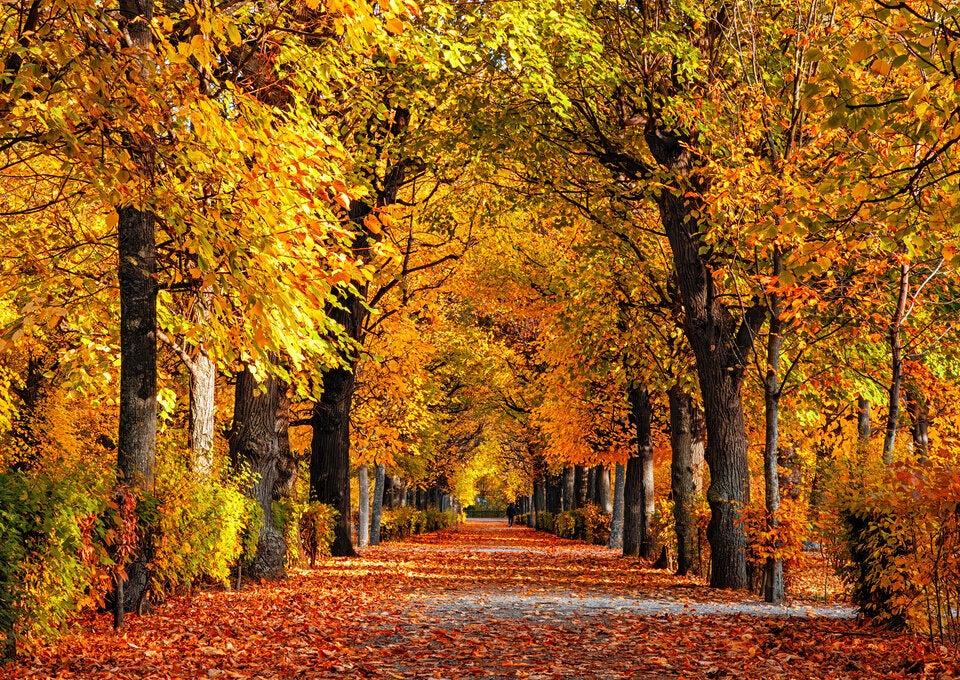 Spontan verreisen? DIESE Städte sind im Herbst besonders schön