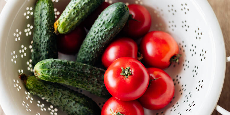 Gurken und Tomaten pflanzen wie Profis: Darauf kommt es wirklich an