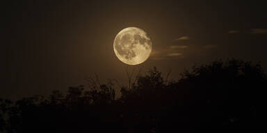 Das sollten Sie in der Woche vom 27. April bis 3. Mai laut Mondkalender tun