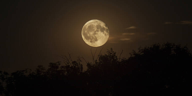Das sollten Sie in der Woche vom 27. April bis 3. Mai laut Mondkalender tun