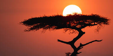 Thailand, Tansania, Dubai: Diese Osterreisen boomen