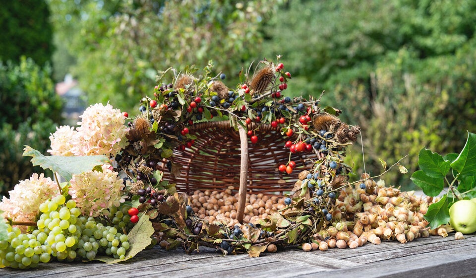 Farbenfroher Fruchtschmuck für den Garten