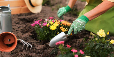 Achtung: Diese Gartenarbeiten d&uuml;rfen Sie im April nicht verpassen!