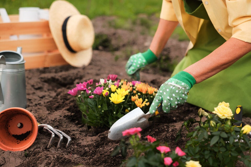 Im Mai: Diese wichtigen Gartenarbeiten dürfen Sie jetzt nicht verschlafen