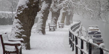 &Ouml;sterreich friert: HIER gab es minus 27,9 Grad